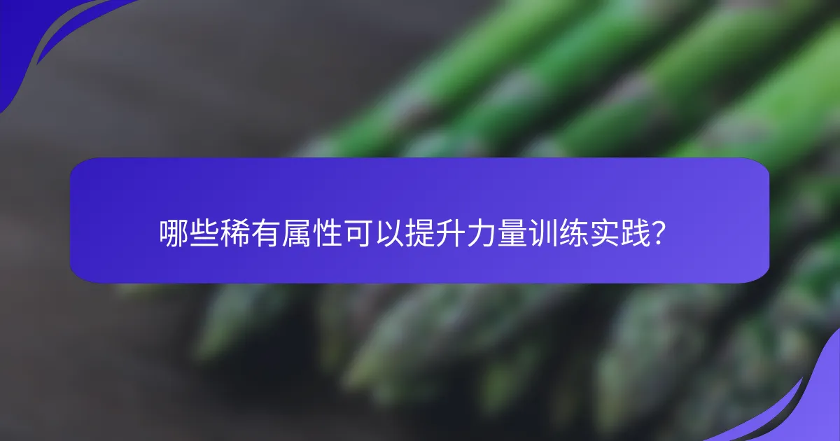 哪些稀有属性可以提升力量训练实践？