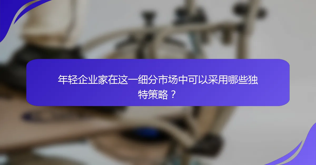 年轻企业家在这一细分市场中可以采用哪些独特策略？